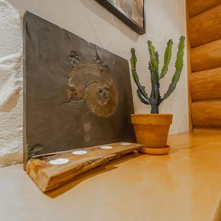 Naturstammhaus Mit Sauna, Coffee And Tea For Free Prázdninový dům Olbronn-Durrn